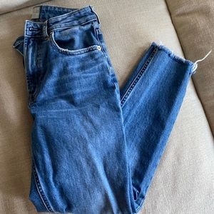 Everlane The Curvy Cheeky Jean